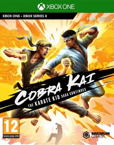 Cobra Kai: The Karate Kid Saga Continue