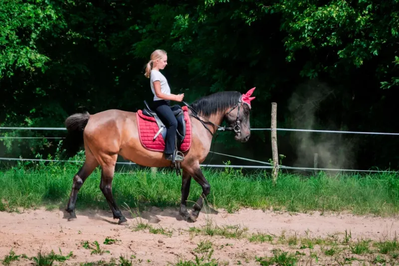 Jojimo klubas Night Rider – žirgų magija