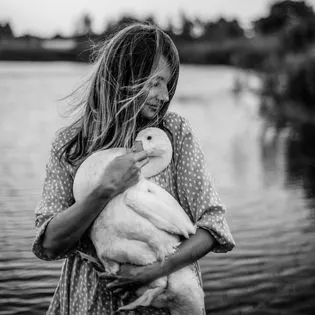 Fotografijos paslaugos Švelnus Vėjas
